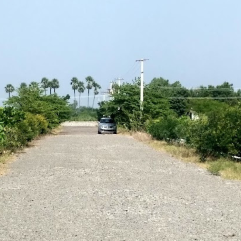 Pic11